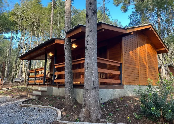 Hotel com jacuzzi: Hotel Cabanas Glamour